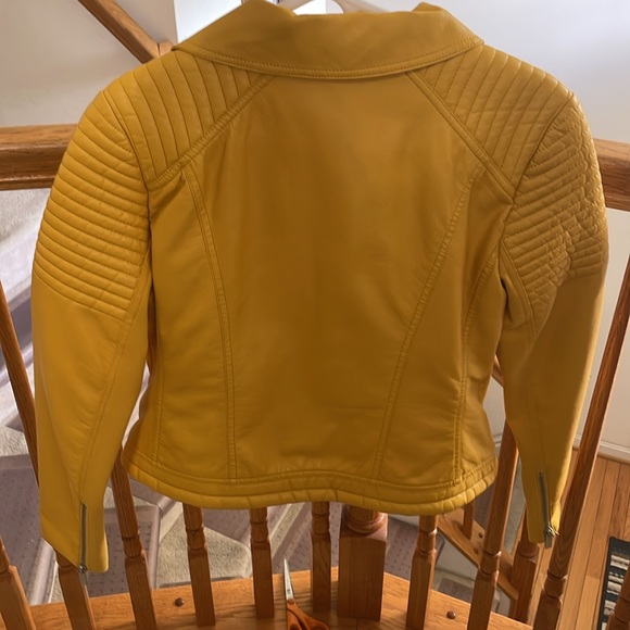 Jacket - Picture 3 of 15